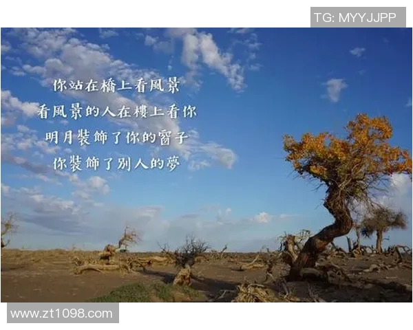 李添荣的奋斗历程与成就探索:从平凡到卓越的心路历程与人生启示